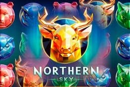 Northern Sky